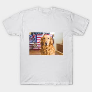 The most beautiful Golden Retriever. T-Shirt